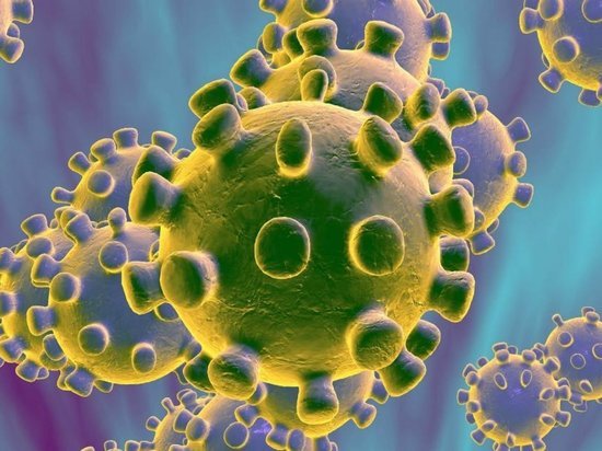 Ивановцам важна эпидемия коронавируса: область вошла в ТОП самых интересующихся