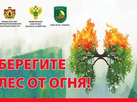 В Рязанской области объявили пожароопасный сезон
