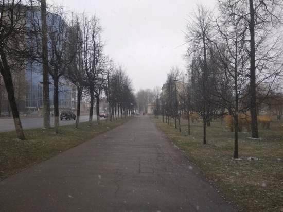 2 апреля на Смоленщине будет ветрено, возможен снег