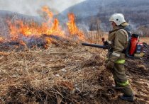 Постановлением главы Серпухова в Серпухове ввели режим повышенной готовности и установили особый пожароопасный режим