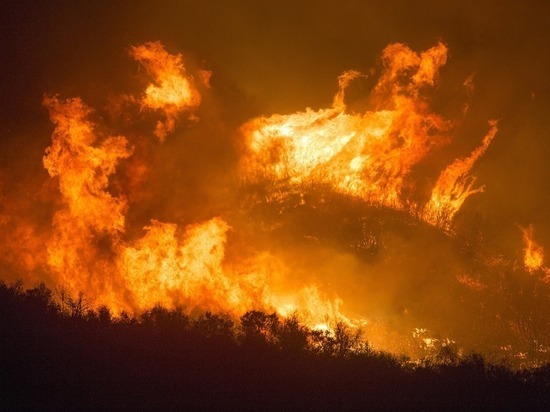 Масштабные лесные пожары прогнозируются в Забайкалье с апреля по июнь