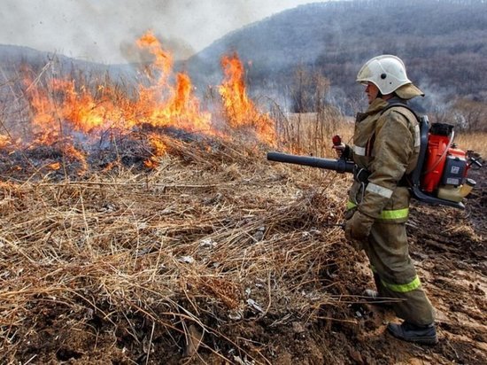 Особый пожароопасный режим ввели в Серпухове