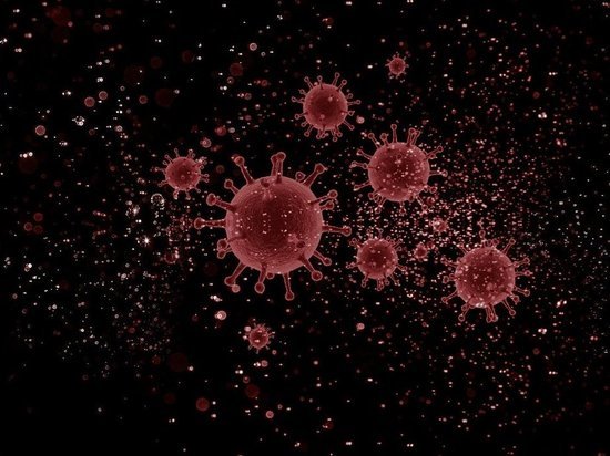 Роспотребнадзор: информация на сайте администрации Петушинского района о ситуации с коронавирусом недостоверна