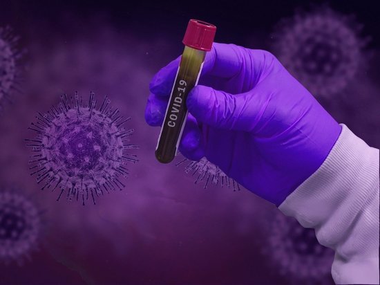 Немецкие ученые: Выращен ли коронавирус в лаборатории