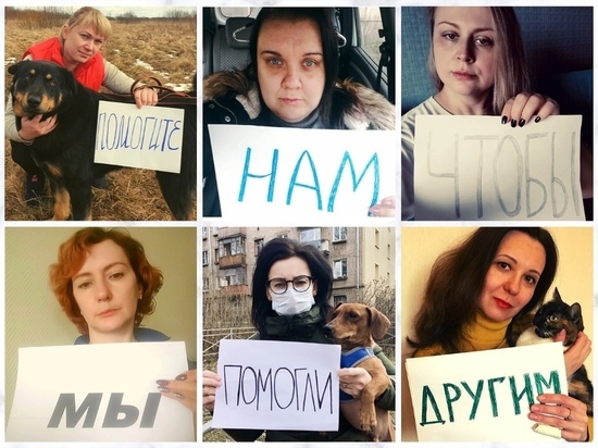 Зоозащитники Тверской области просят взять животных на передержку
