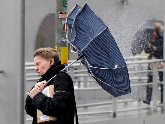 И снег, и ветер… Погода в Костроме продолжает способствовать самоизоляции