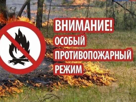 Особый противопожарный режим введен в Калужской области