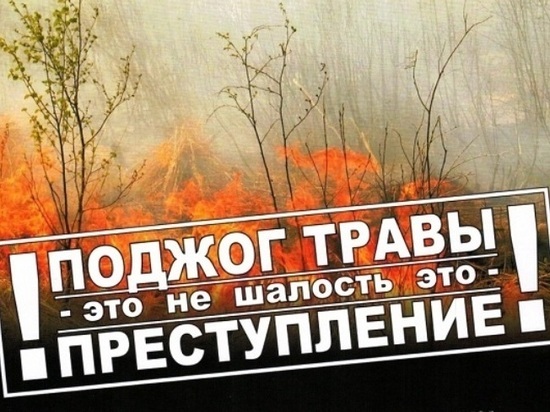 В Серпухове ищут виновников лесного пожара