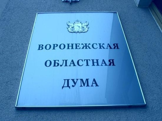 Воронежская областная Дума поддержала акцию «Зажги синим»