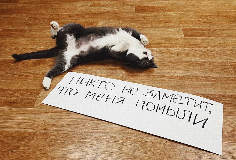 «Никто не заметит, что меня помыли»: скучающий флешмоб в Хабаровске 