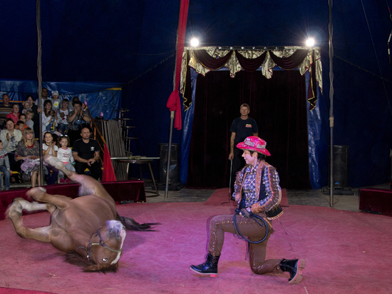 Коварный коронавирус: циркачи из Омска застряли в Вичуге