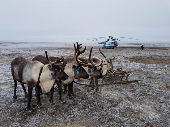 Вертолеты в отдаленные поселки Ямала будут летать только по заявкам