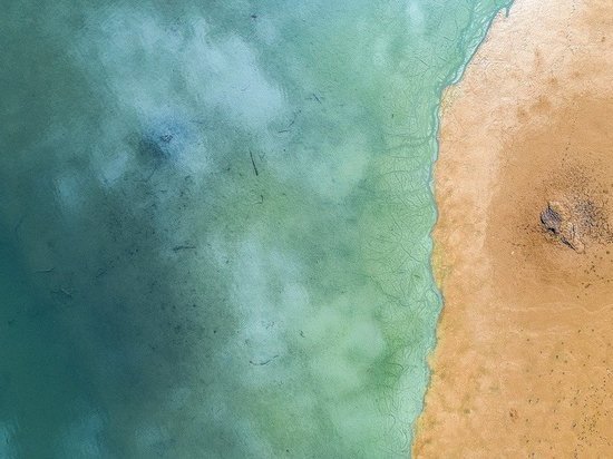 Найден способ восстановления экосистемы океана к 2050 году