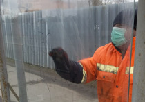 Работники коммунальных служб Серпухова устранили десятки граффити, нарисованных вандалами на остановочных павильонах