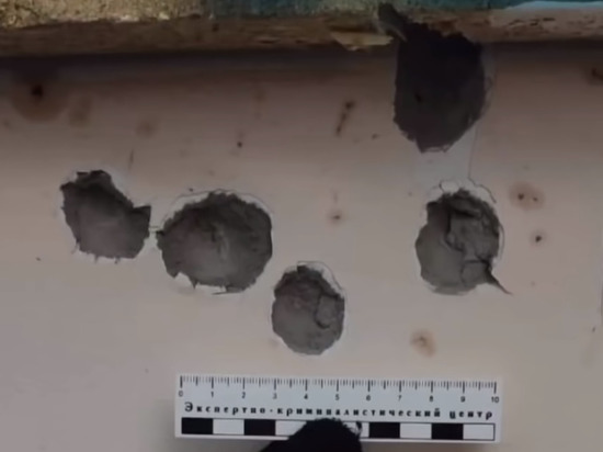 Опубликовано видео с места убийства пяти человек под Рязанью