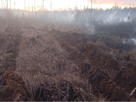 В Ивановской области увеличивается число лесных пожаров