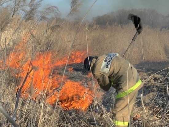На Белгородчине пожар травы стал причиной массового ДТП