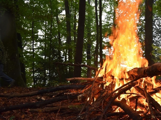В Забайкалье увеличили в 10 раз награду за информацию о поджигателях леса
