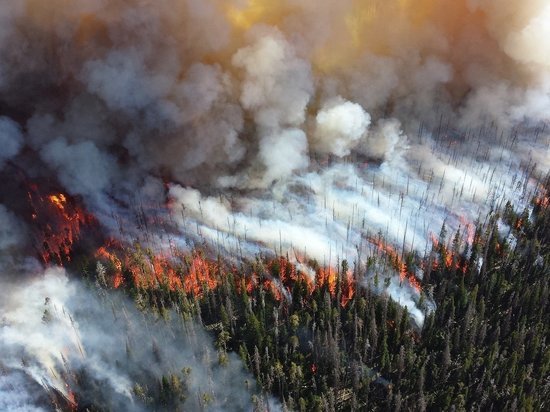 В лесах Забайкалья действуют 32 пожара, сложнее всего - в трех районах
