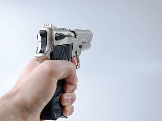 В Шенкурске адвокат хвастался самодельным пистолетом