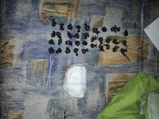 В Твери мигрант прятал больше сотни свертков с тяжелыми наркотиками
