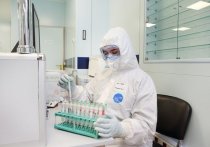 В последние недели российские эксперты и врачи все чаще задаются вопросом, по какому пути в контексте пандемии коронавируса суждено пойти России