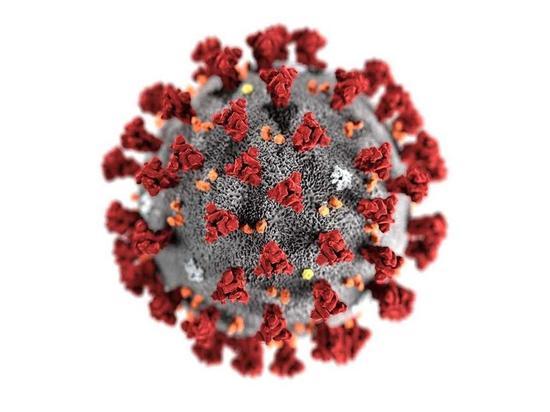 Родина коронавируса зарабатывает на пандемии миллиарды долларов