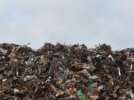На Орловщину надвигается мусорный коллапс