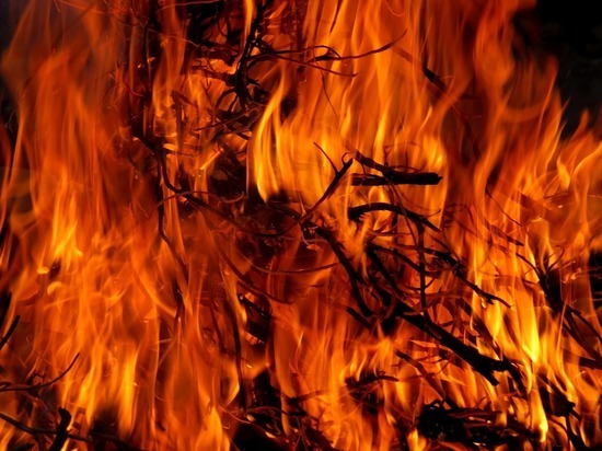 На территории Кузбасса произошло возгорание частной надворной постройки