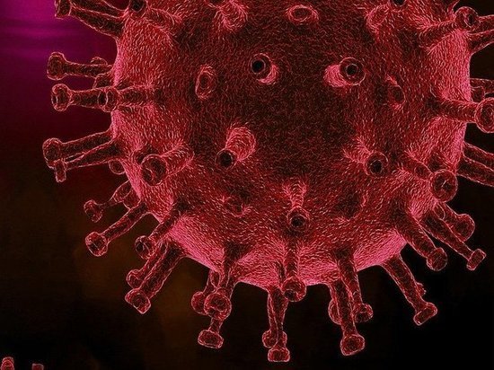 В Орле  еще 5 человек заразились коронавирусом
