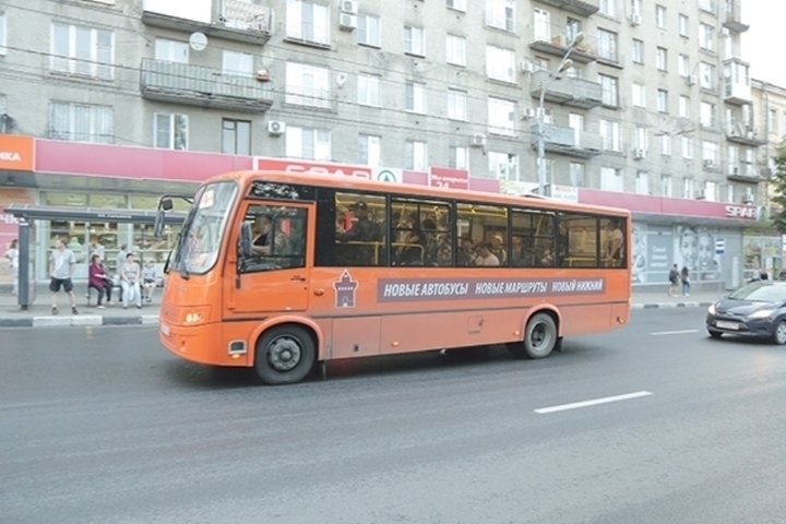 Нижний новгород нижегородец автобус