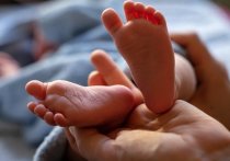 За последние сутки в Московской области выявили 67 новых случаев заражения коронавирусной инфекцией, среди них оказались два младенца и один ребенок