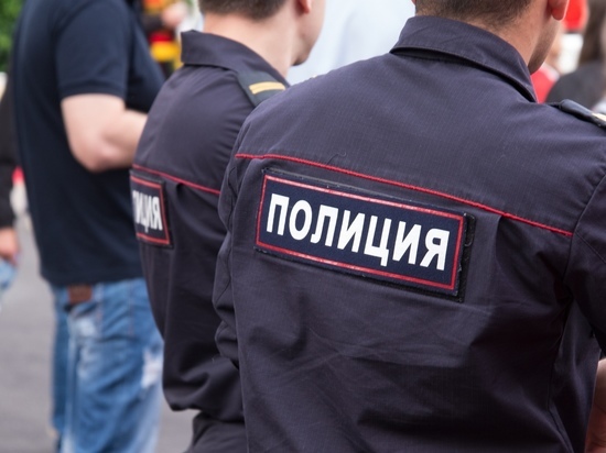  Жительница Богородицка донесла в полицию о преступлении, которого не было