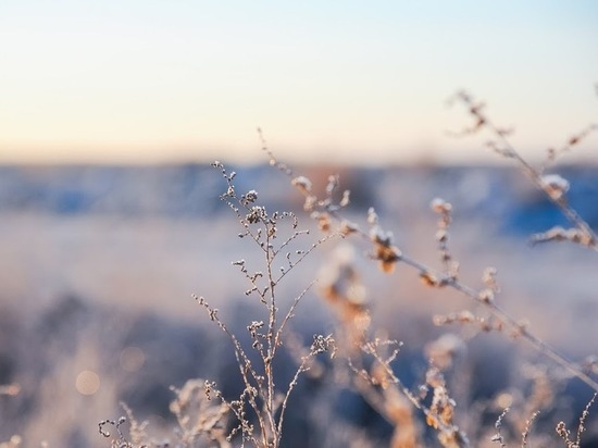 МЧС предупреждает о возможных заморозках в Волгоградской области