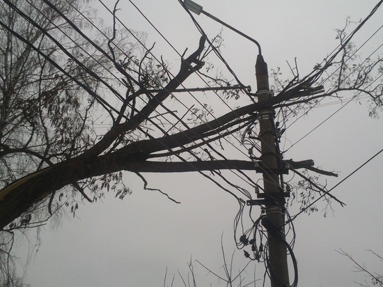 15 населенных пунктов в Челябинской области остались без электричества из-за непогоды