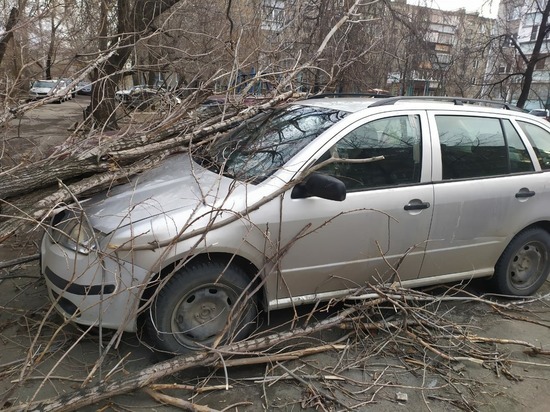 Ветер повалил дерево на машину в Челябинске