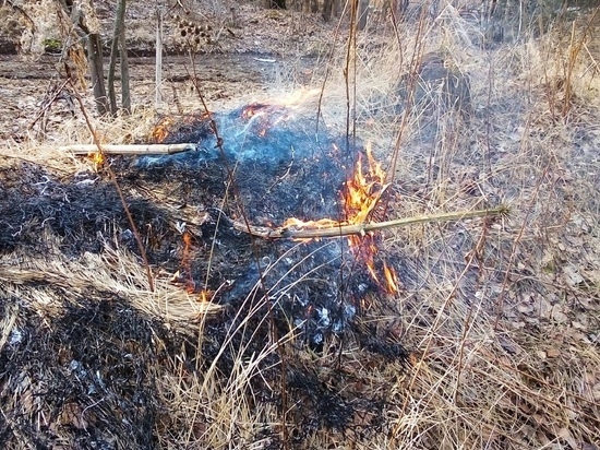 В Туле закрыт выезд на реку Воронку