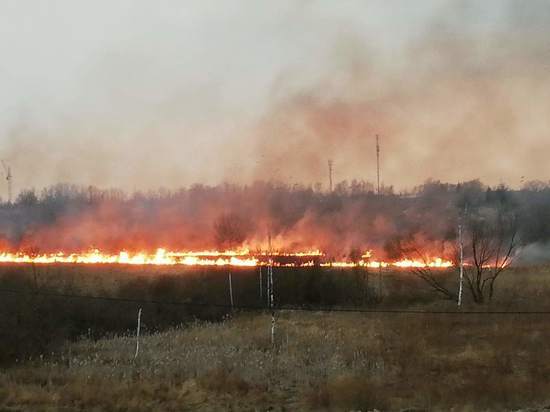 Пожар полыхает на поле на дальнем Запсковье в Пскове