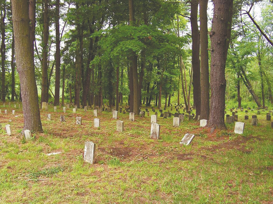 В Нью-Йорке начали копать братские могилы для умерших от коронавируса
