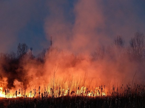 Более 30 палов травы произошло в Псковской области за минувшие сутки