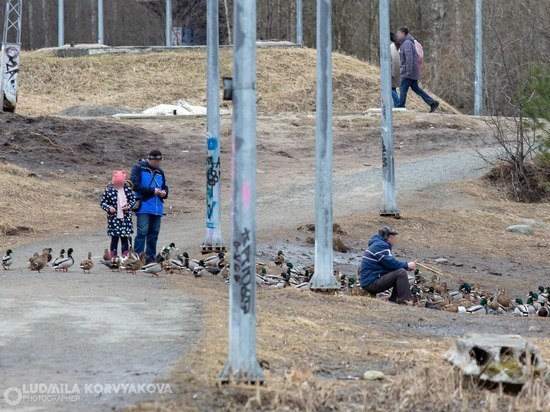 Петрозаводчане звонят в ЕДДС с жалобами о нарушении самоизоляции