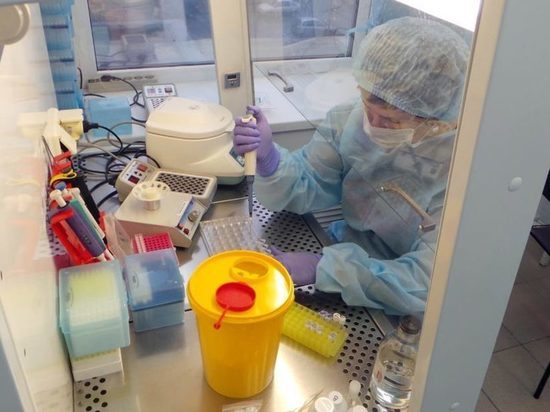 За сутки в Марий Эл провели 676 тестов на коронавирус