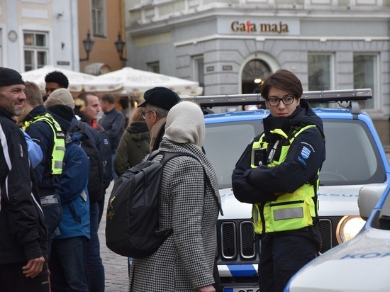 В Эстонии задержали 13-летнего «главаря» неонацистской группировки