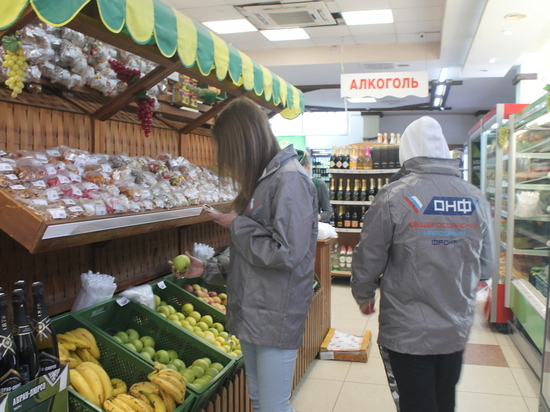 Активисты ОНФ изучили цены на имбирь в магазинах Ставрополья