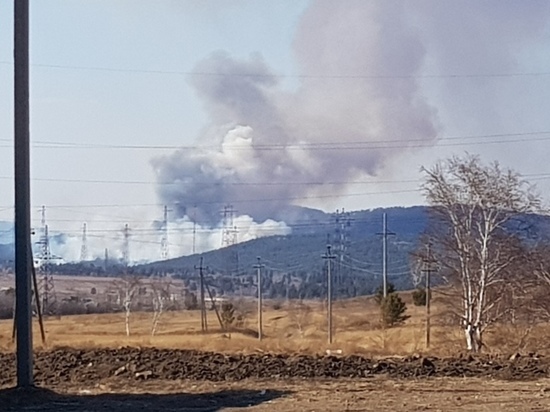 Лес горит за Кручиной в Читинском районе