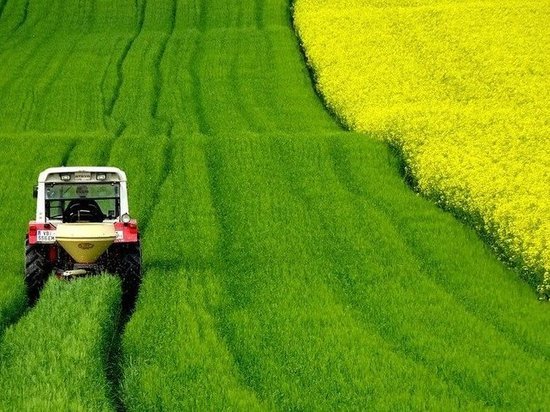 Лже-продавец сельхозтехники обманул доверчивого покупателя на три миллиона рублей