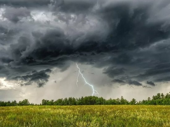 В Белгороде в пятницу ожидается дождь с грозой