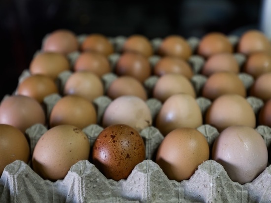 В Волгограде изменились цены на яйца, гречку, кур и лук