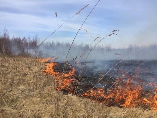 В деревне под Тверью потушили 100 гектаров горящего поля