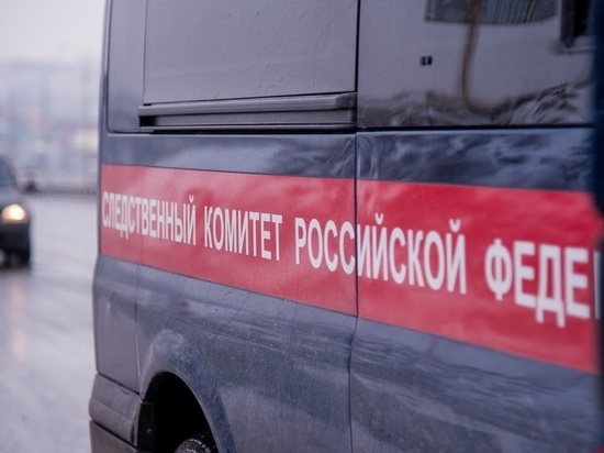 В Волгоградской области мать допустила гибель 11-месячного сына